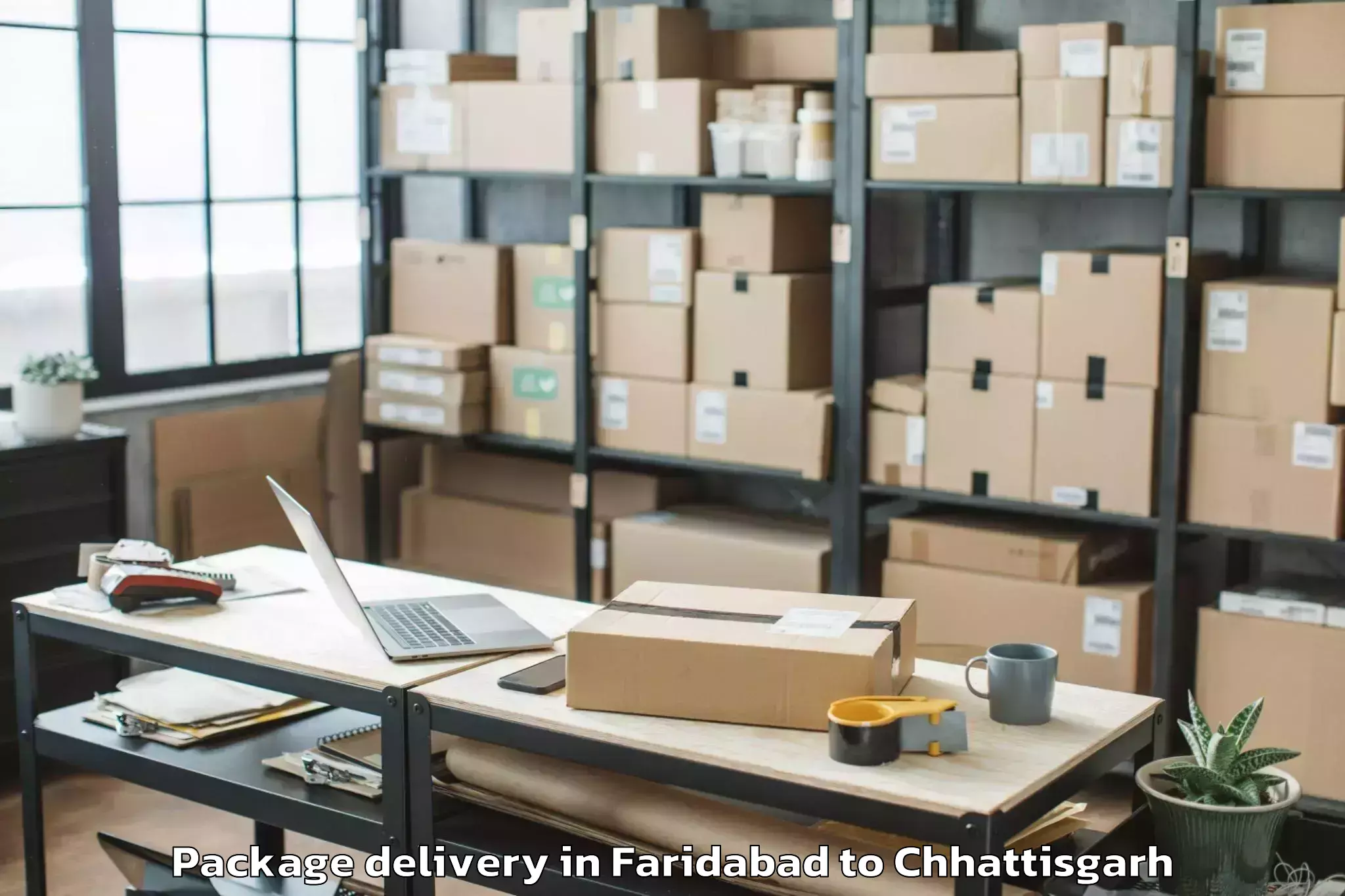 Quality Faridabad to Dhamtari Package Delivery